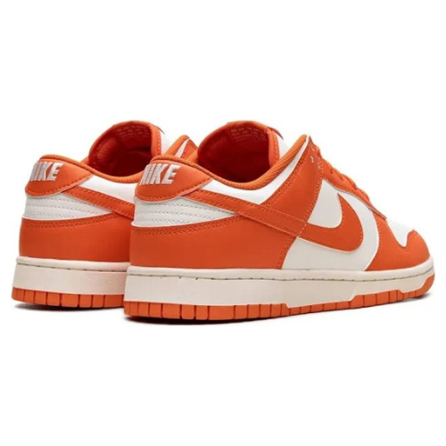 Nike Dunk Low Sneakers