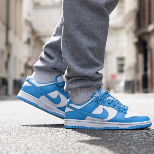 Nike Dunk Low Sneakers