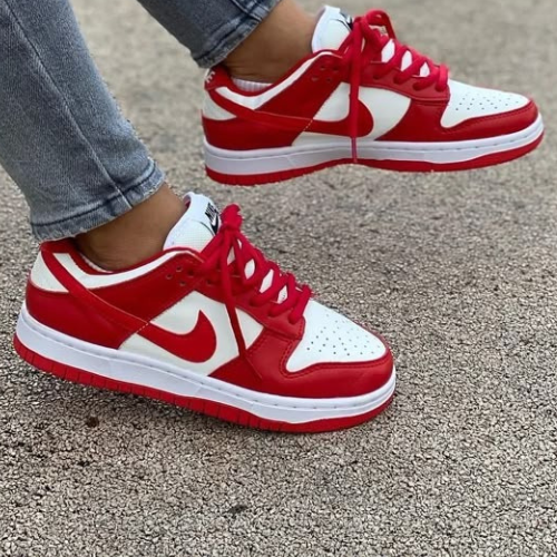 Nike Dunk Low Sneakers