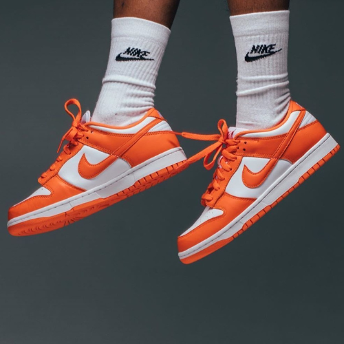 Nike Dunk Low Sneakers
