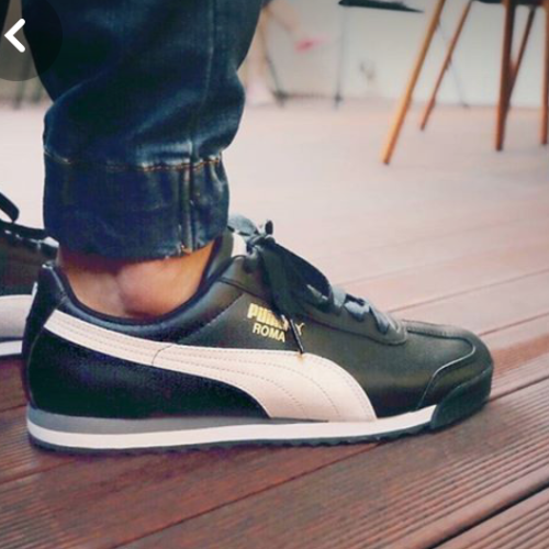 Puma Roma